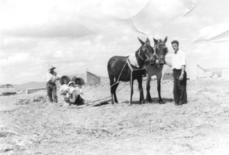 Familia JÃ¡tiva trillando en la era. Cella.