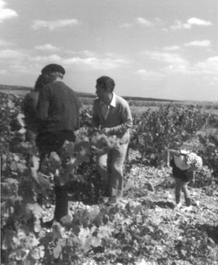 Familia JÃ¡tiva en la viÃ±a. Cella.