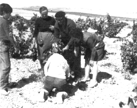 Familia JÃ¡tiva en la viÃ±a. Cella.
