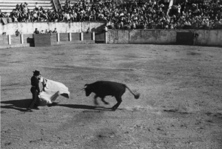 Corrida de toros. Cella