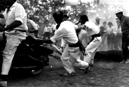 Sacando al toro del ruedo. Cella