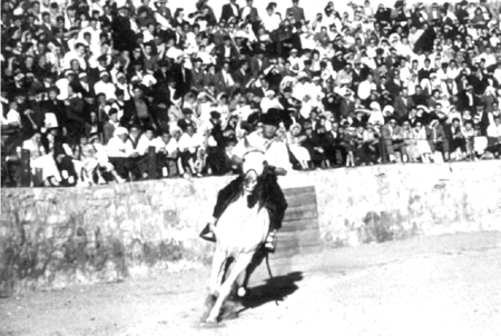 Paco sobre el caballo en la plaza de toros. Cella