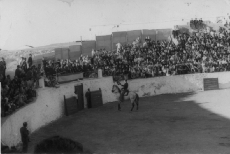 En la plaza de toros. Cella