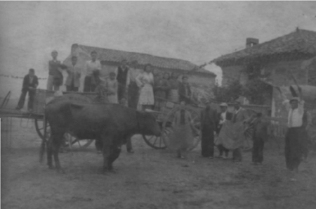 Toros en la masÃ­a. Cella