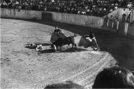 Corrida en las fiestas de San CristÃ³bal. Cella