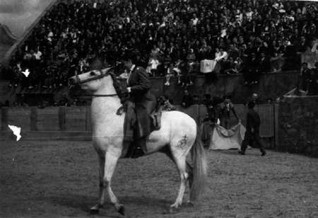 Picador sobre el caballo en la plaza de toros. Cella