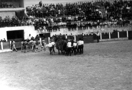 En la plaza de toros en fiestas. Cella