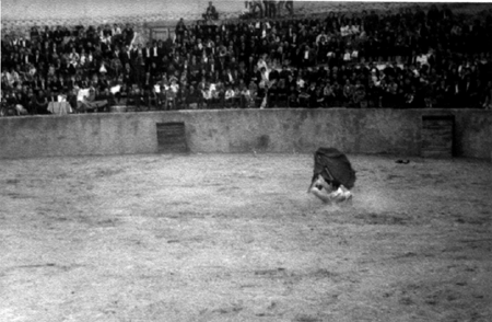Cogida en la plaza de toros. Cella