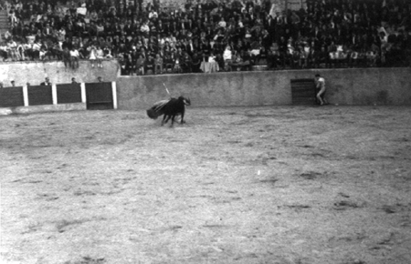 Cogida en la plaza de toros. Cella