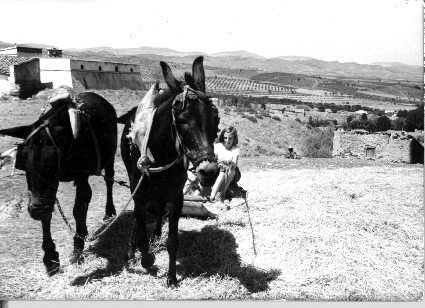 Chica con caballerÃ­as.BurbÃ¡guena