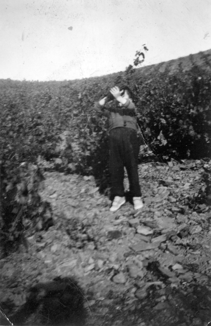 Hombre bebiendo en bota en la viÃ±a. BurbÃ¡guena