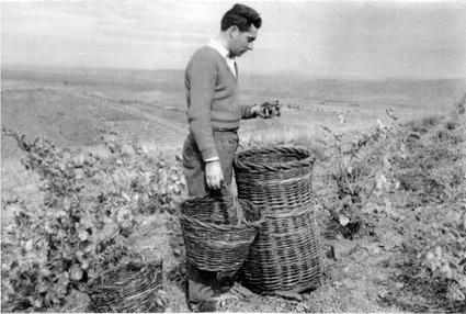 Hombre junto a viÃ±as. BurbÃ¡guena