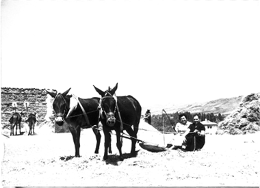 Mujeres en el campo.BurbÃ¡guena