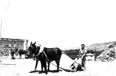 Pareja en el campo. BurbÃ¡guena