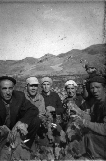 Grupo recogiendo uvas.BurbÃ¡guena