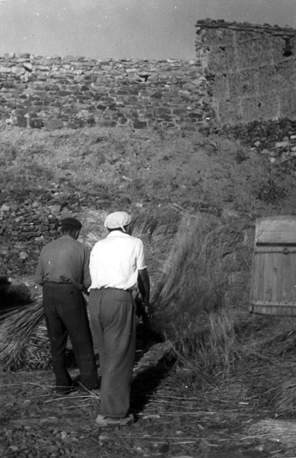 Hombres trabajando en el campo. BurbÃ¡guena