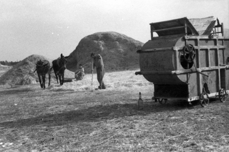 Labores de siega en el campo. Calamocha.