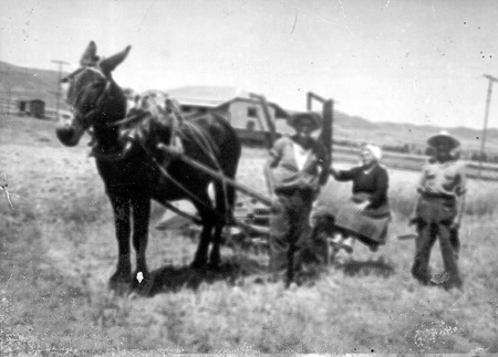 Dos hombres y una mujer segando en el campo.