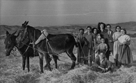 Trabajando en las eras. Calamocha.