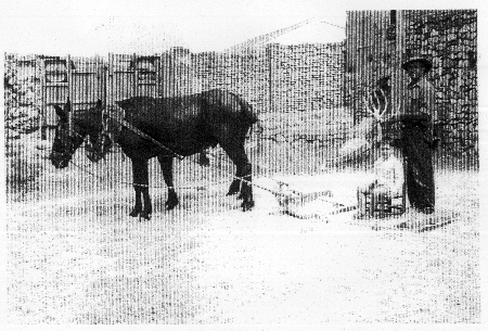 Trabajando en la era. Calamocha.