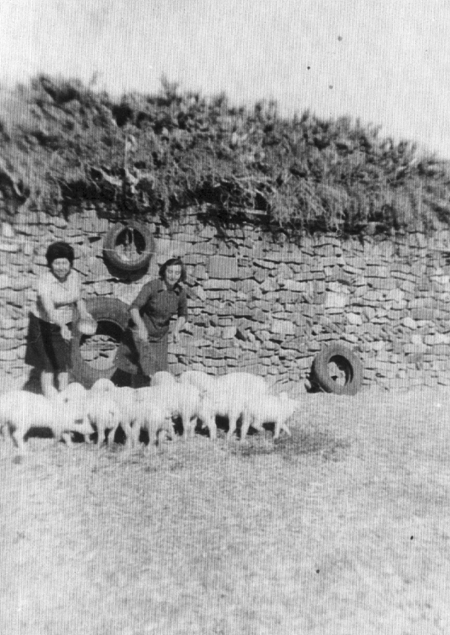 Ãngeles y AÃºrea dando de comer a una piara de cerdos. CastejÃ³n de Tornos.