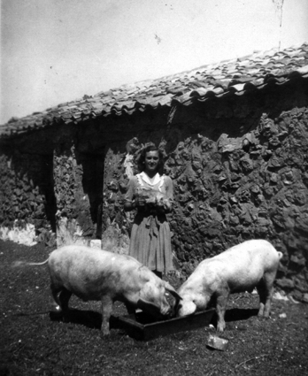 Joven cuidando de los cerdos. CastejÃ³n de Tornos
