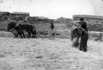 Grupo de mujeres y hombres trabajando en la era. CastejÃ³n de Tornos