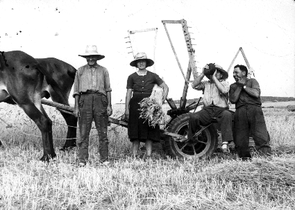 Grupo segando en el campo. CastejÃ³n de Tornos