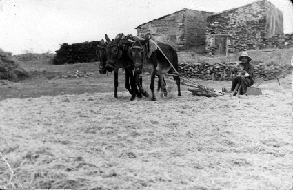 Hombre con niÃ±o trillando en el campo. CastejÃ³n de Tornos