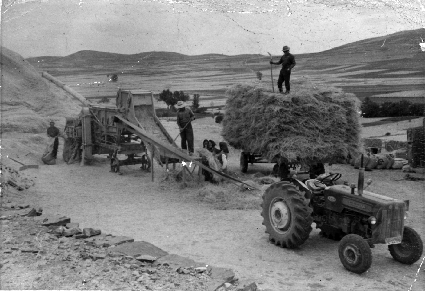 Trillando en el campo. CastejÃ³n de Tornos