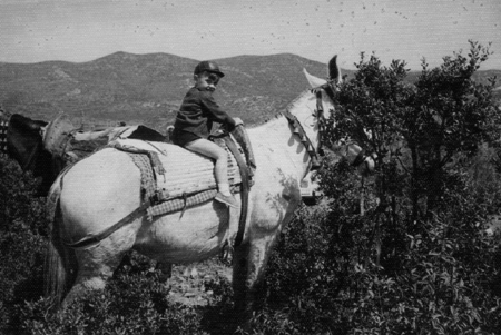 Retrato de un niÃ±o sobre un caballo. Calamocha.