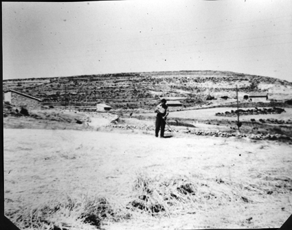 Recogiendo la parva. Cosa