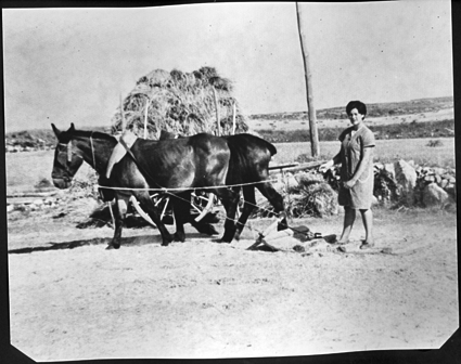 Mujer trillando la parva. Cosa.