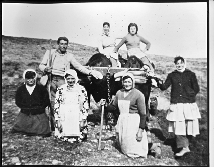 Grupo de mujeres y hombres trabajando en el campo con los bueyes. Cosa