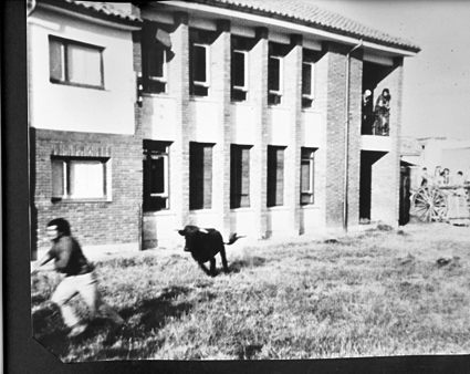Mozo escapando del toro. Cosa