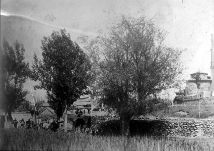 Vista de la localidad desde los Ã¡rboles. Ferreruela