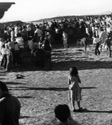 Corriendo las vaquillas. Ferreruela