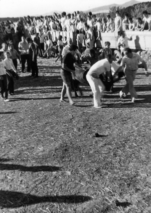 JÃ³venes sujetando la vaquilla. Ferreruela