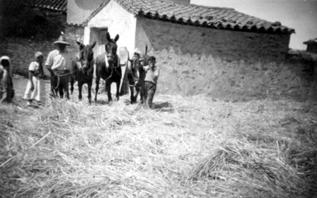 Preparando la trilla. FonfrÃ­a.