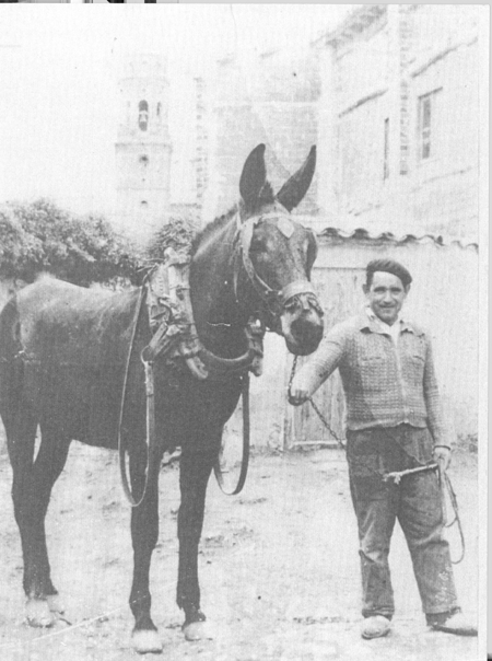 Retrato de un hombre junto a su caballo. Loscos.