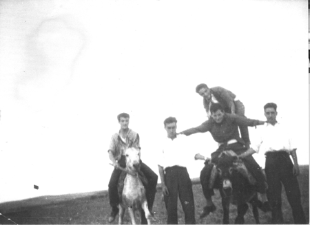 JÃ³venes subidos en burros divirtiÃ©ndose en el campo. Loscos.