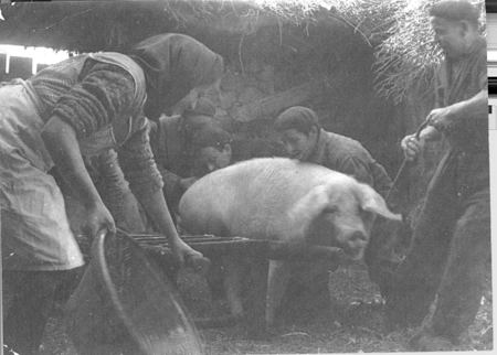Grupo en un dÃ­a de matanza. Loscos.
