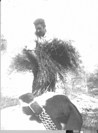 Recogiendo paja en el campo. Loscos