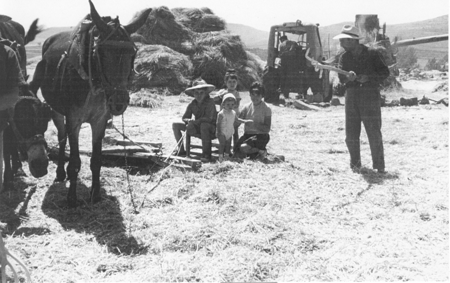 Trabajando en el campo. Loscos.