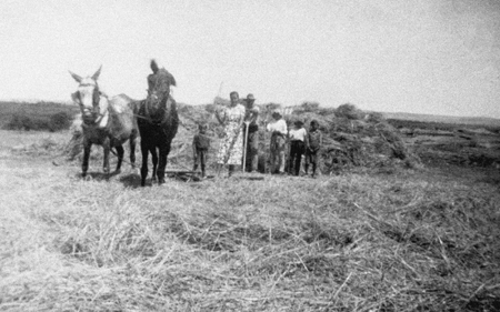 Grupo trillando en el campo. Loscos.
