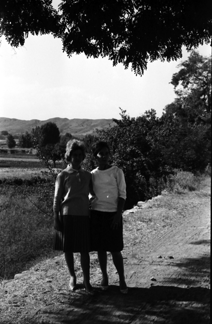 Amigas bajo la sombra del Ã¡rbol. Lechago