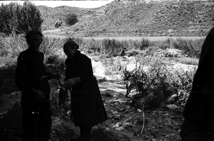 Pareja a la sombra. Lechago