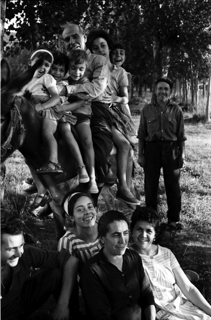 Una tarde bajo los Ã¡rboles. Lechago