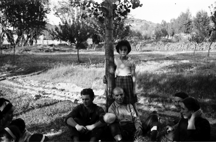 Descansando entre Ã¡rboles. Lechago