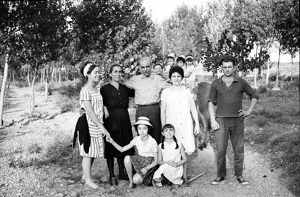 Tarde entre los Ã¡rboles. Lechago